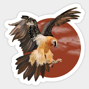 Lammergeier (Bearded Vulture) Sticker